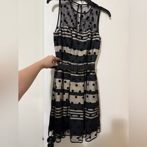 Eliza J Polka Dot Black and Beige Dress